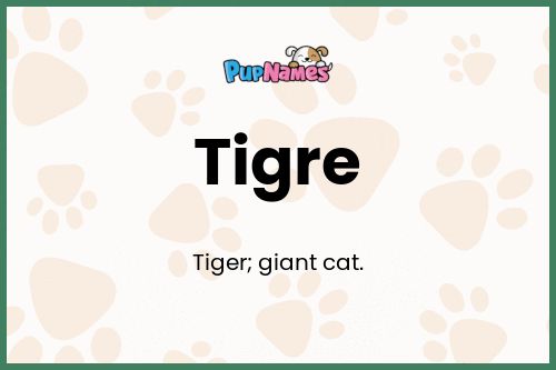 Tigre dog name meaning