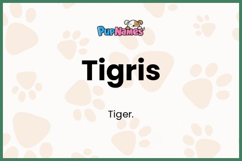 Tigris dog name meaning