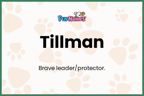 Tillman dog name meaning