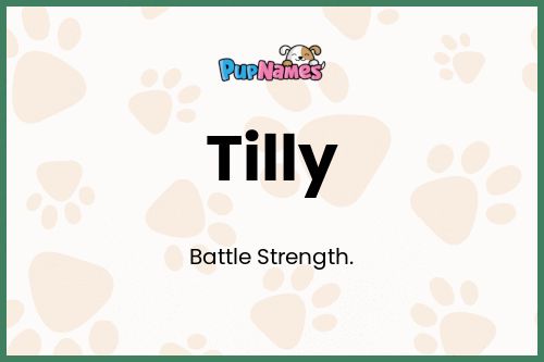 Tilly dog name meaning