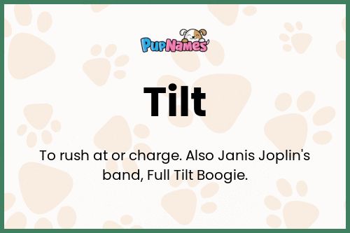 Tilt dog name meaning