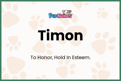 Timon dog name meaning