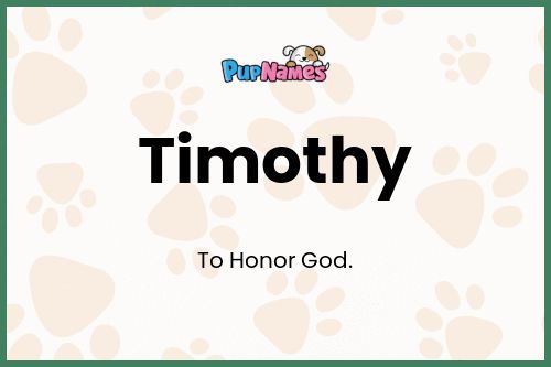 Timothy dog name meaning