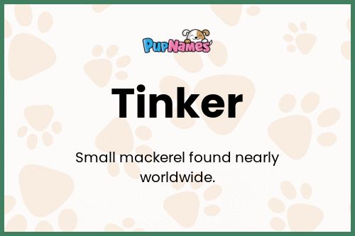 Tinker dog name meaning