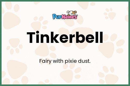 Tinkerbell dog name meaning