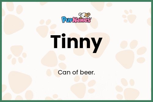 Tinny dog name meaning