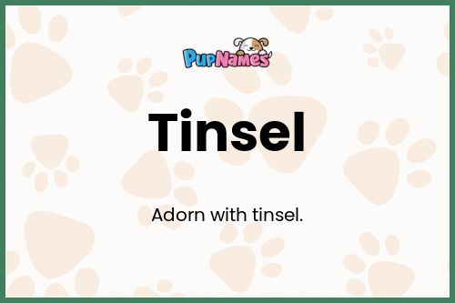 Tinsel dog name meaning