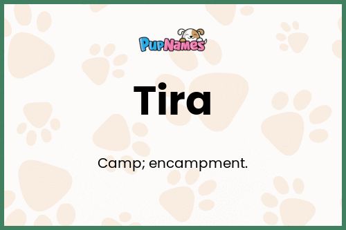 Tira dog name meaning