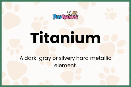 Titanium dog name meaning