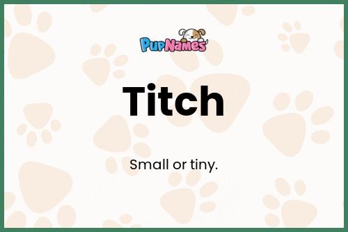 Titch dog name meaning