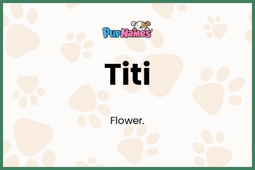 Titi dog name meaning