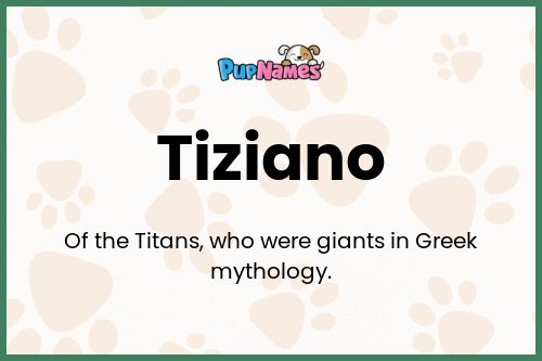 Tiziano dog name meaning