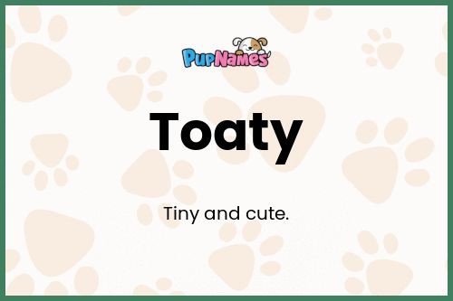 Toaty dog name meaning