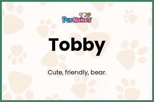 Tobby dog name meaning