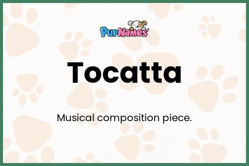 Tocatta dog name meaning
