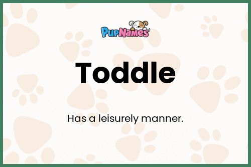 Toddle dog name meaning