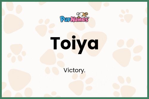 Toiya dog name meaning