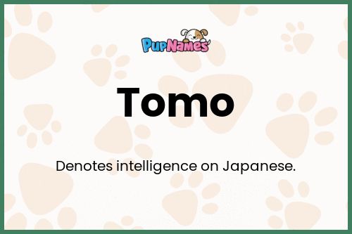 Tomo dog name meaning