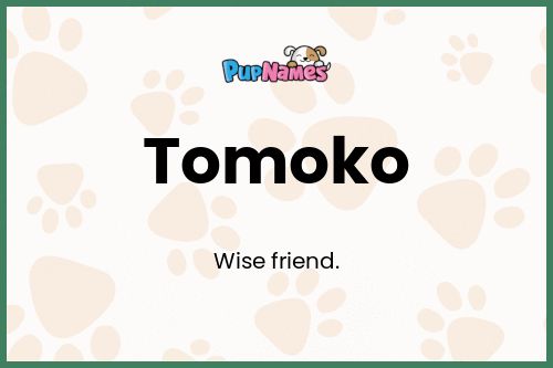 Tomoko dog name meaning