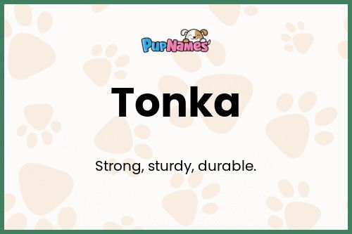 Tonka dog name meaning