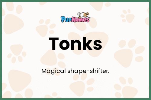 Tonks dog name meaning