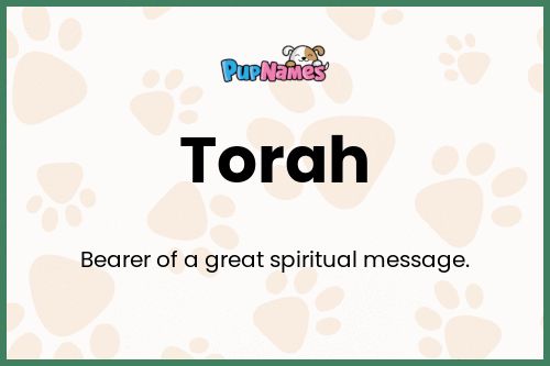 Torah dog name meaning