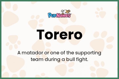 Torero dog name meaning