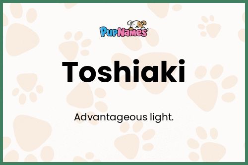 Toshiaki dog name meaning