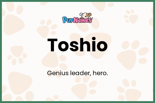 Toshio dog name meaning