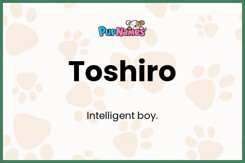 Toshiro dog name meaning