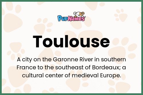 Toulouse dog name meaning