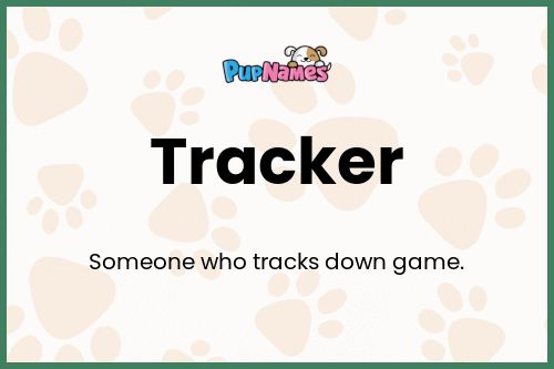 Tracker dog name meaning