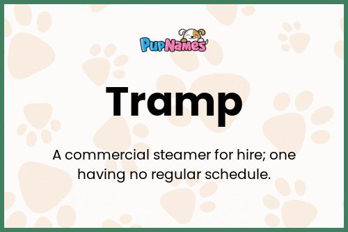 Tramp dog name meaning