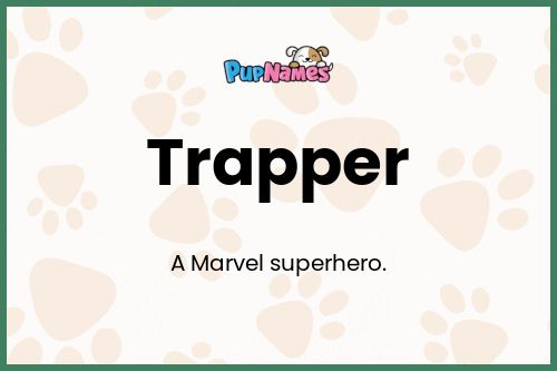 Trapper dog name meaning