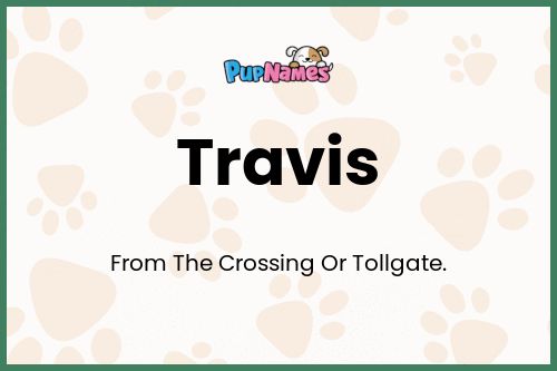 Travis dog name meaning