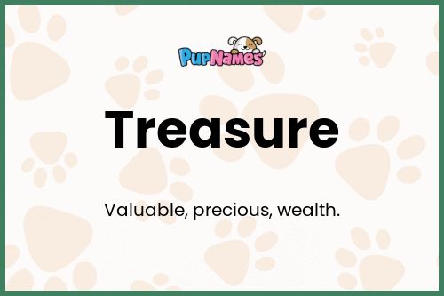 Treasure dog name meaning