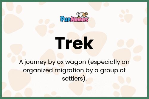 Trek dog name meaning