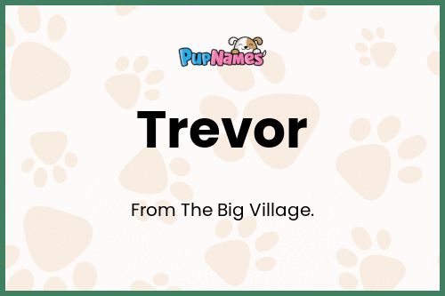 Trevor dog name meaning