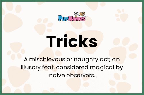 Tricks dog name meaning