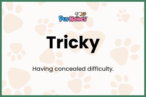 Tricky dog name meaning