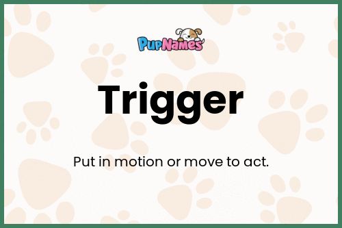 Trigger dog name meaning