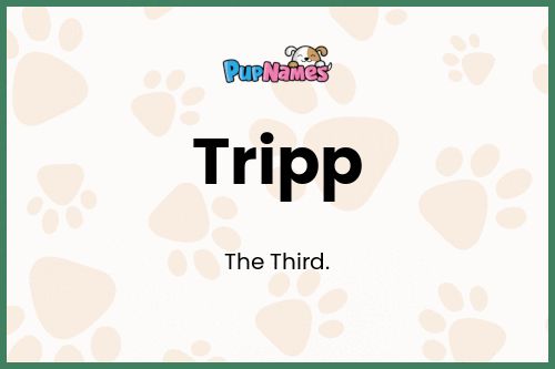 Tripp dog name meaning