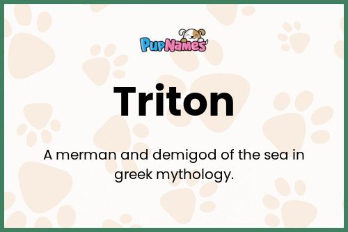 Triton dog name meaning
