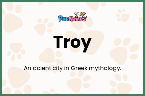 Troy dog name meaning