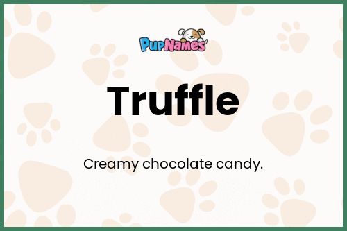 Truffle dog name meaning