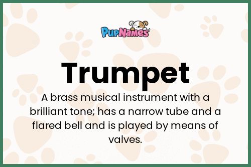 Trumpet dog name meaning