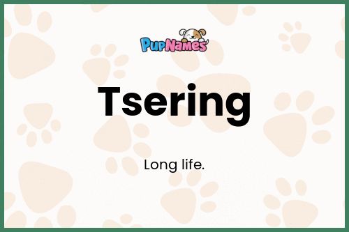 Tsering dog name meaning