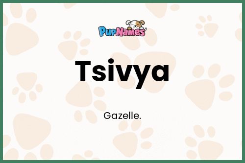 Tsivya dog name meaning
