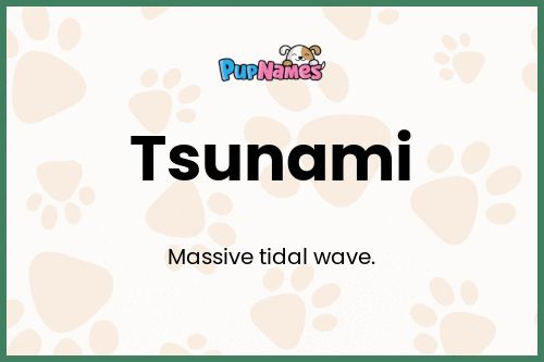 Tsunami dog name meaning