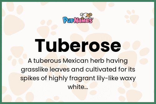 Tuberose dog name meaning